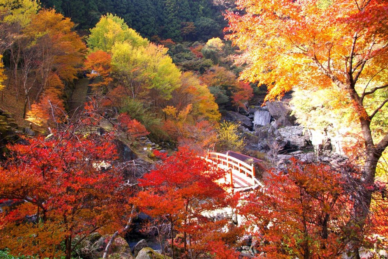 Nature Resort In Niyodo Niyodogawa Exteriér fotografie
